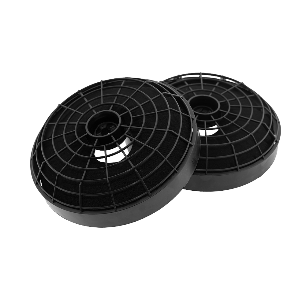 Filtre à charbon longue durée (2pcs) Pelgrim DSG861MAT