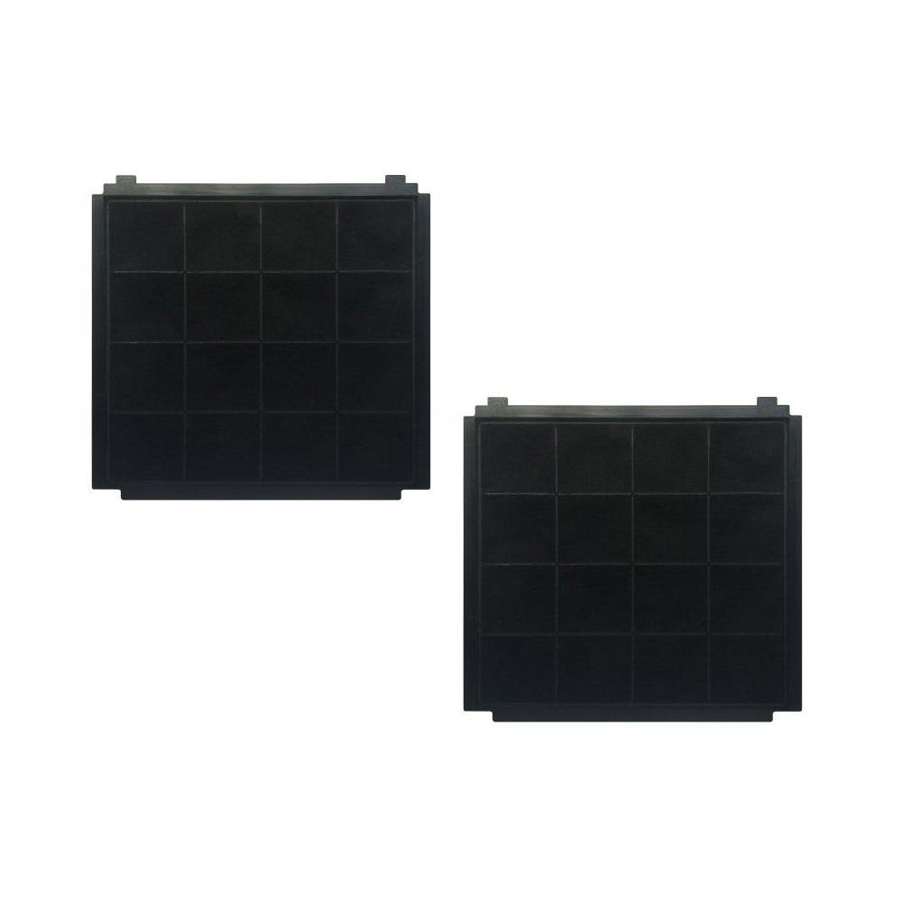 Filtre à charbon (2pcs) d'origine Airforce AIRFCHICONIC / AFFCAF174