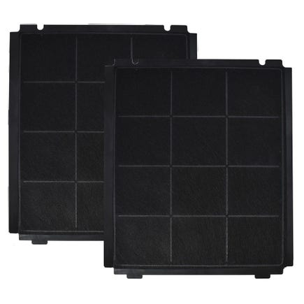 Filtres à charbon (2pcs) d'origine Airforce AFFCAF89A