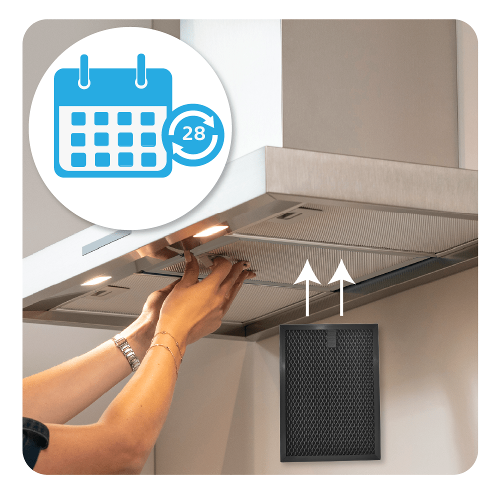 Filtre à charbon régénérable compatible avec AEG 140237131010