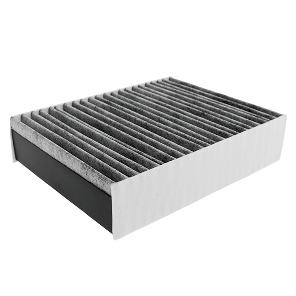 Filtre à Particules Fines compatible avec Pelgrim HF3001