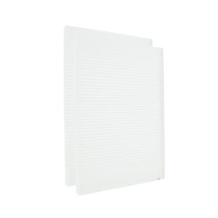 Filtre G4 compatible avec Paul Focus 200/F200 (2 pièces)