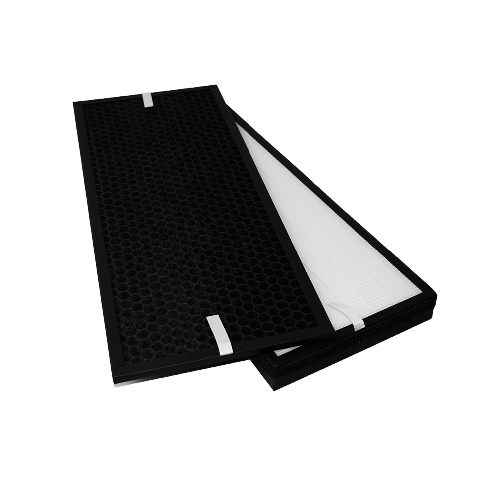 Kit de filtres (2pcs) compatible avec Rowenta XD6077 (Allergy) et XD6066 (Charbon)