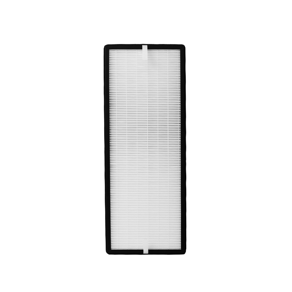 Kit de filtres (2pcs) compatible avec Rowenta XD6077 (Allergy) et XD6066 (Charbon)