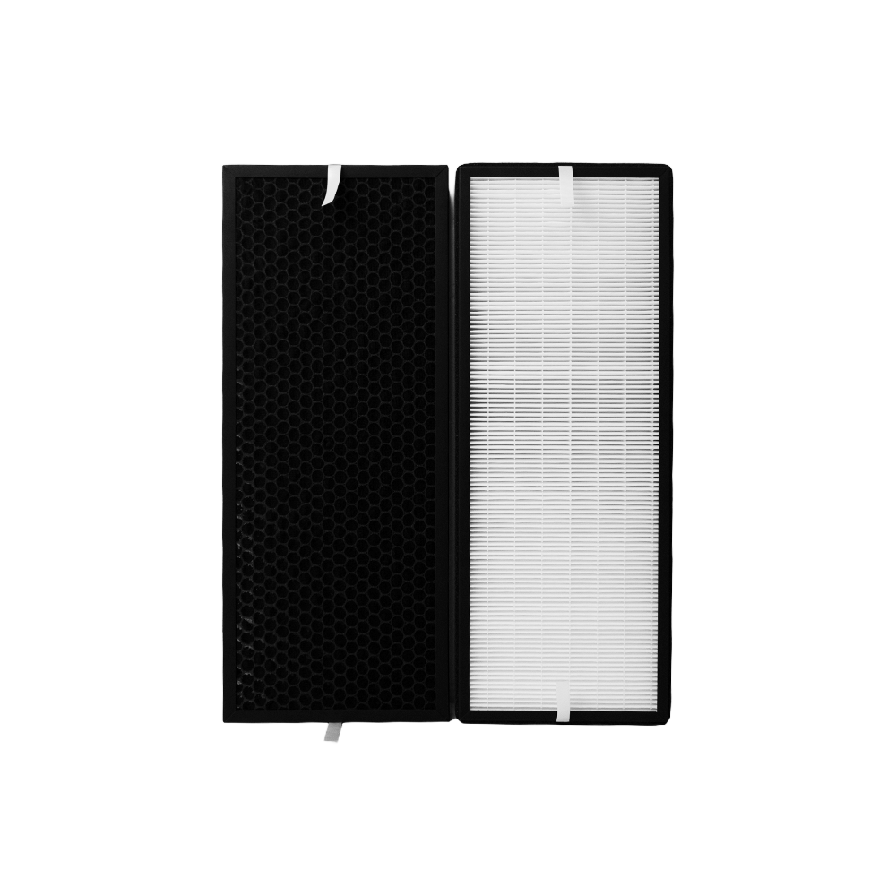 Kit de filtres (2pcs) compatible avec Rowenta XD6077 (Allergy) et XD6066 (Charbon)