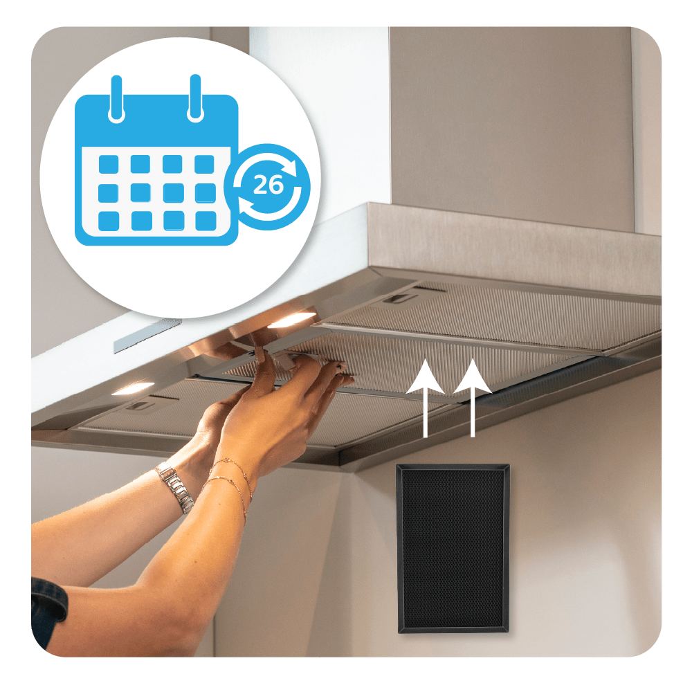 Filtre à charbon régénérable 2-en-1 compatible avec Electrolux 140204164028