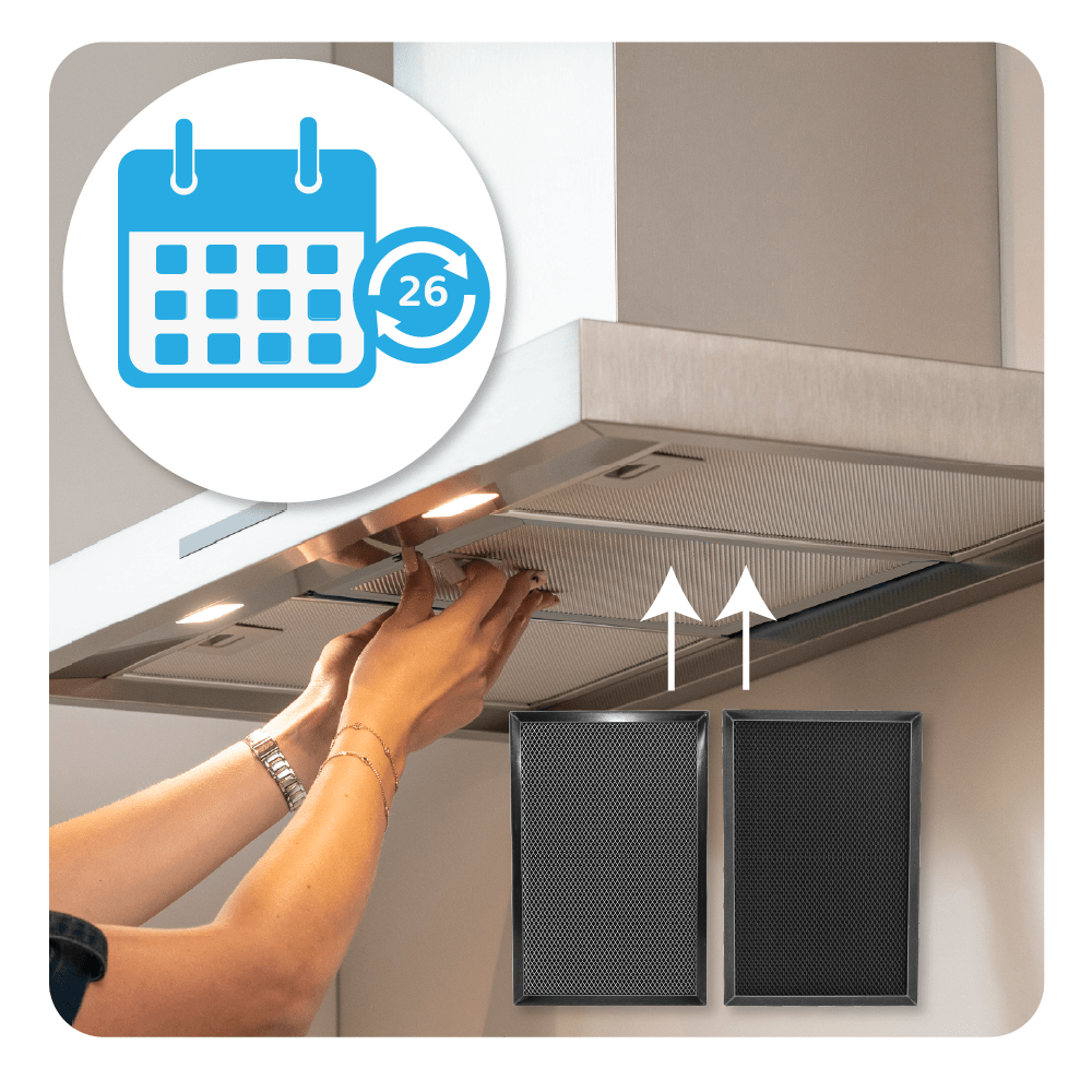 Filtre à charbon régénérable 2-en-1 compatible avec Electrolux 140204164028